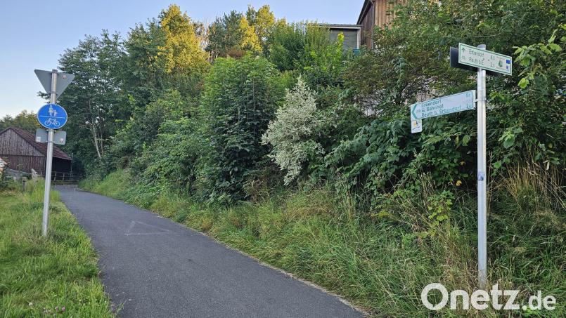 Das Radwegenetz in der Gemeinde Krummennaab soll noch im Herbst um eine Abzweigung zum Erlenweiher in Thumsenreuth ausgebaut werden. Bild: vsr