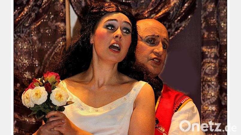 Julia Thoma hat bereits viele öffentliche Auftritte hinter sich. Ihre geschulte reife Stimme und ihre langjährige Gesangserfahrung machen sie sicher auf den Operetten- und Opernbühnen. Umso mehr genießt sie das Singen als einen wunderbaren Ausgleich zum Alltag. Bild: Archiv Kreismusikschule