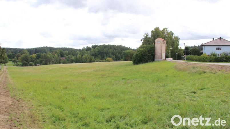 Nach wie vor umstritten ist das geplante Baugebiet &quot;Im Badgarten&quot; im Gemeinderat. In der Sitzung am Montag wurde jedoch ein weiterer Schritt zum nötigen Flächennutzungsplan gemacht. Bild: prh
