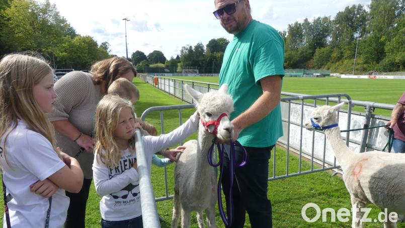 Kinder durften beim Kinderbürgerfest in Eschenbach Alpakas streicheln. Bild: rn