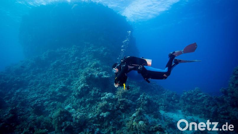 Tief unten im Meer ist Unterwasserfotograf Peter Stiewing in seinem Element. Sobald er abtaucht, vergisst er den Alltag, der oben ansonsten sein Leben bestimmt. Bild: Creativ-Action.de