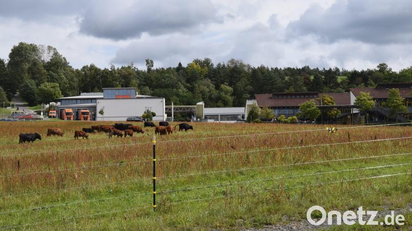 Im Vordergrund das Heilpädagogische Zentrum. Oberhalb, noch hinter dem Wald, liegt das relativ kleine Areal, das für den Regionalplan &quot;Windenergie&quot; gemeldet worden ist. Bild: fz
