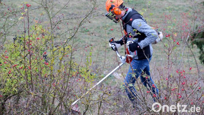 Der Landschaftspflegeverband hat das KULAP-Programm "Erneuerung von Hecken und Feldgehölzen" gestartet. Symbolbild: Hirsch