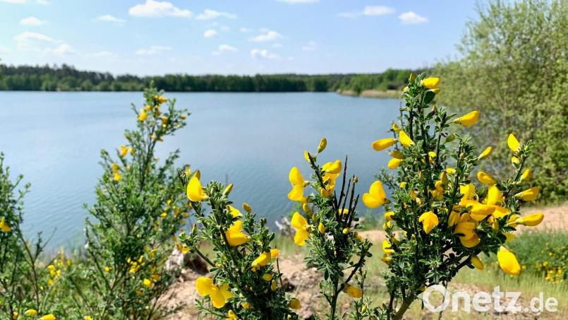 Das Projekt &quot;NEW Seenland&quot; am Dießfurter Freizeitsee stockt. Investoren sind interessiert, aber es gibt ein Anbindungsproblem und hohe Kosten für die Erschließung. Archivbild: Gabi Schönberger
