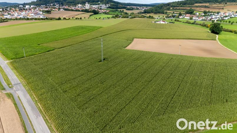 Ein Strommast steht da, aber es gibt keinen Solarpark in der Nähe: Hier, zwischen Amberg (hinten links), Krumbach (hinten rechts) und Moos, will die Firma Greenovative eine große Batteriespeicheranlage für erneuerbare Energie bauen. Bild: hbe