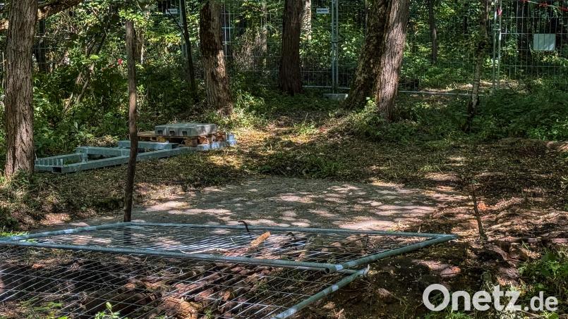 Der Barbaraschacht auf dem Erzberg in Amberg ist seit Monaten gesperrt. Die Abdeckung aus Beton muss erneuert werden. Bild: Wolfgang Steinbacher