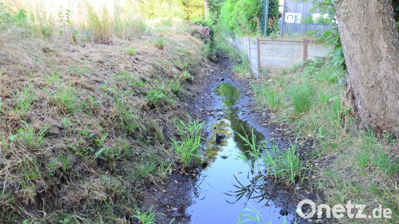 Der Rehmühlbach versickert, weil er im Zulauf nicht genügend Wasser abbekommt. Langfristig soll der Bachlauf saniert und umgestaltet werden. Die Planungen dafür sind aufwendig. Archivbild: Kunz