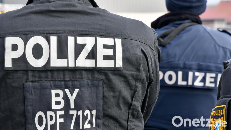 Ein Mann mit einem Schäferhund attackierte einen Autofahrer in Amberg mit einer Weinflasche. Die Polizei sucht Zeugen. Symbolbild: Petra Hartl