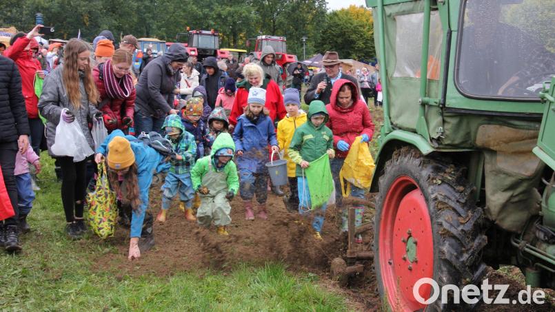 Beim Kartoffelfest in Bad Neualbenreuth macht auch das Kartoffelklauben Spaß. Archivbild: kro