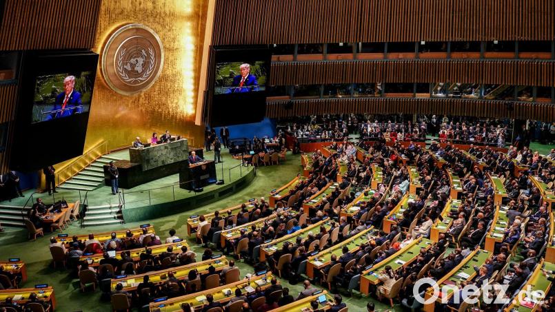 Trump vor der UN-Vollversammlung Bild: Kay Nietfeld/dpa