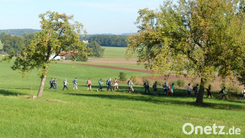 Noch sind die Teilnehmer wie hier untehalb des Annabergs dicht beisammen. Aber schon in Amberg haben sich die Reihen weit auseinander gezogen. Bild: mfh