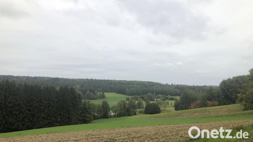 Im Teichelberg soll eine große Windkraftanlage entstehen. Die Zerstörung der Landschaft ist vielen Leuten ein Dorn im Auge. Bild: wro