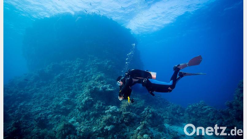 Tief unten im Meer ist Unterwasserfotograf Peter Stiewing in seinem Element. Sobald er abtaucht, vergisst er den Alltag, der oben ansonsten sein Leben bestimmt. Bild: Creativ-Action.de