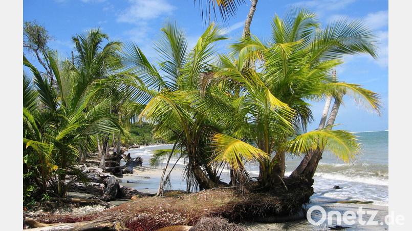 Der Fund zweier Leichen auf dem Grundstück eines deutschen Paares in Costa Rica gibt Rätsel auf. (Archivbild) Bild: picture alliance / dpa
