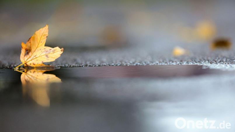 Noch hält sich die herbstliche Zweiteilung beim Wetter in Deutschland. (Archivbild) Bild: Thomas Warnack/dpa