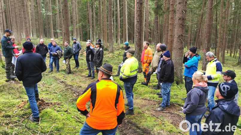 Großes Interesse: Viele Waldbesitzer finden sich zum Informationsabend im Privatwald bei Unterlangau/Oberviechtach ein. Bild: Portner