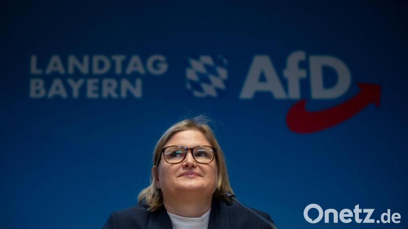Die Landtags-AfD präsentiert nach ihrer Klausur ein ganzes Paket von Forderungen, insbesondere zum Thema Einbürgerungen. (Archivbild) Bild: Peter Kneffel/dpa