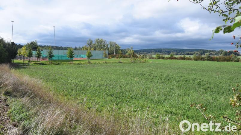 Nördlich des Sportparks entstehen ein Bolzplatz und ein Dirt-Park. Die Gemeinde Pirk erfüllt damit gleichzeitig eine Auflage des Landratsamtes Neustadt/WN, wonach abgelagertes Erdreich südlich des Sportparks entfernt werden muss. Bild: fz