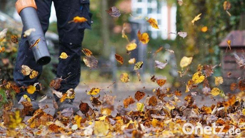 Zürich will den Einsatz nur noch von Oktober bis Dezember erlauben. (Symbolfoto) Bild: Marcus Brandt/dpa/dpa-tmn