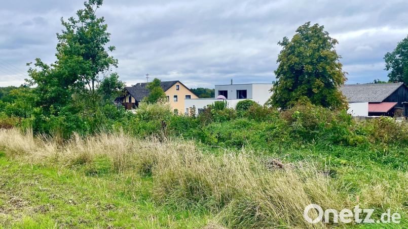 In der Randlage Mergelweg in Elbart ist der Bau von sechs Ferienhäusern als eingeschossige Doppelhaushälften für eine touristische Nutzung geplant. Bild: Gerhard Krones