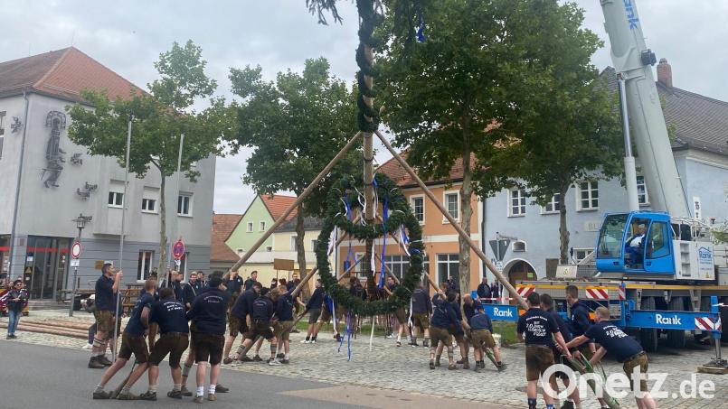 Beim Baum Aufstellen helfen die Kirwa-Burschen zusammen. Bild: jua