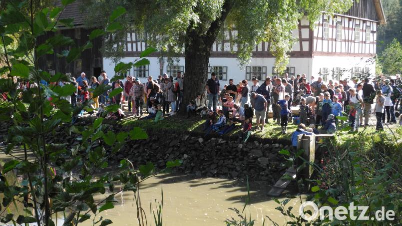 Im Freilandmuseum steht am Sonntag, 12. Oktober, das traditionelle Abfischen des Mühlenteichs an. Bild: Anton Kraus/exb