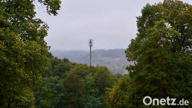 Die Bürger sind empört. Ohne weitere Ankündigung wurde den Bewohnern von Ernhüll ein über 55 Meter hoher Mobilfunkmast vor die Nase gesetzt. Bild: glb