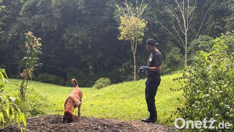 Die Ermittler entdeckten die Leichen mit Hilfe eines Spürhunds. (Archivbild) Bild: ---/OIJ Costa Rica/dpa