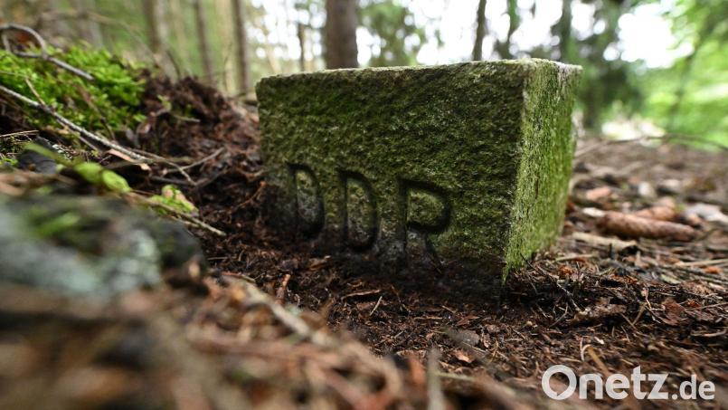 Ein bemooster Grenzstein zur DDR an der früheren innerdeutschen Grenze (Symbolbild) Bild: Martin Schutt/dpa