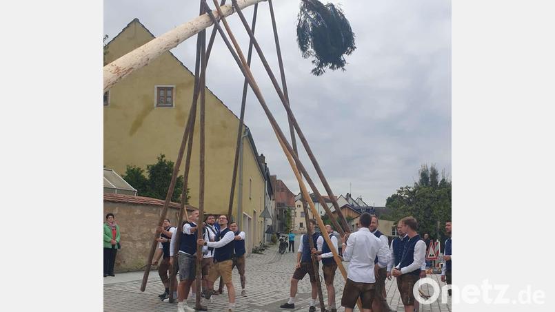 Mit 28 Meter hat der Kirwbaum 2025 eine Rekordhöhe Bild: rn