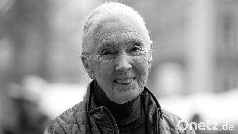 Die britische Schimpansen-Forscherin und Umwelt-Aktivistin Jane Goodall ist tot. Bild: Sven Hoppe/dpa