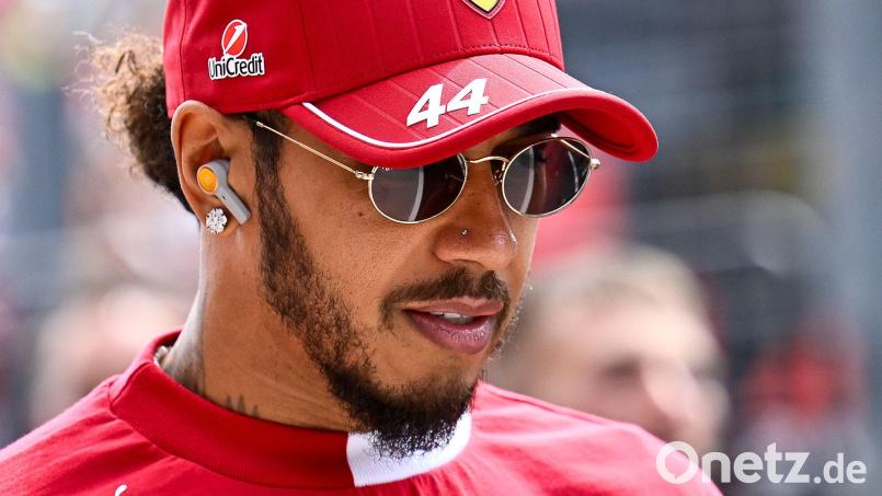 Lewis Hamilton ist dankbar für die Anteilnahme nach dem Tod seines Hundes Roscoe. Bild: Denes Erdos/AP/dpa