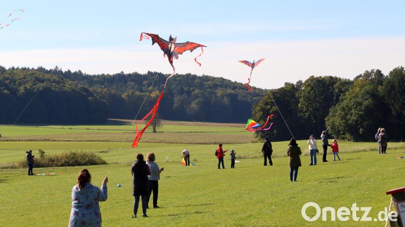 Große, kleine und manch komische Vögel tummelten sich am Freitag auf dem Flugfeld der Luftsportgruppe Sulzbach-Rosenberg in Fichtelbrunn. Bild: mfh