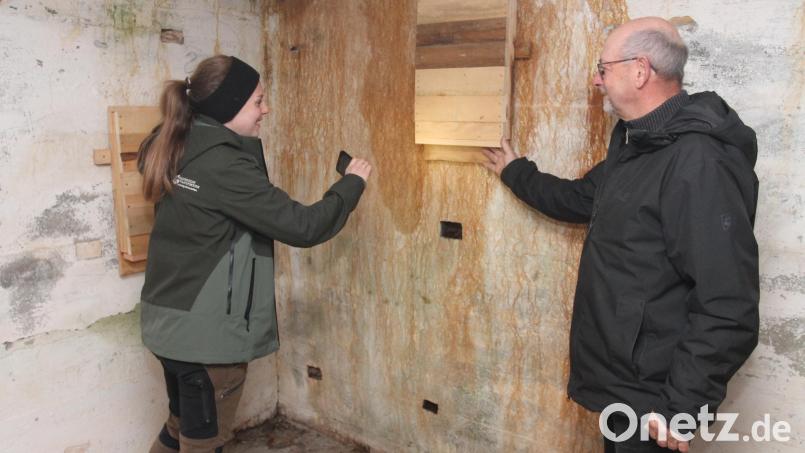Revierleiterin Michaela Hamann und Willibald Gleißner freuen sich über die neuen Unterkünfte für die Fledermäuse bei Brünst. Bild: pi