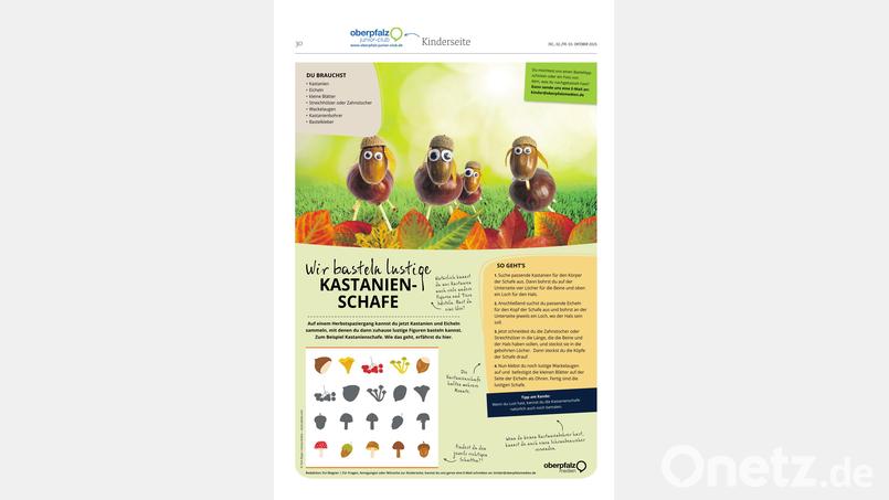 Wir basteln Kastanienschafe Bild: Oberpfalz Medien