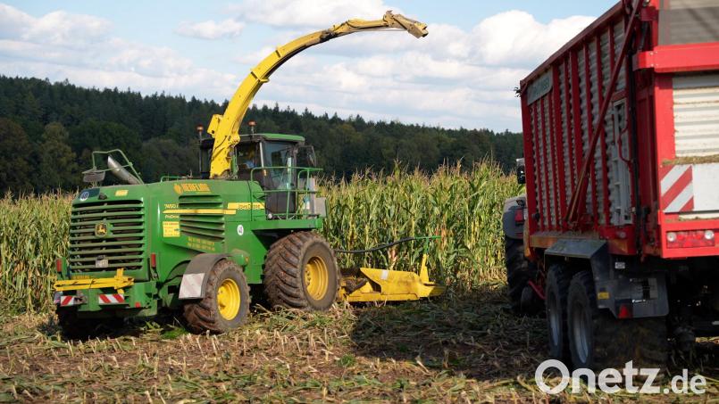 Stefan Plößner aus Altendorf bei Pressath erntete Ende September den Futtermais für seine 140 Kühe, insgesamt 24 Hektar. Bild: Marco Meier/Petra Hartl