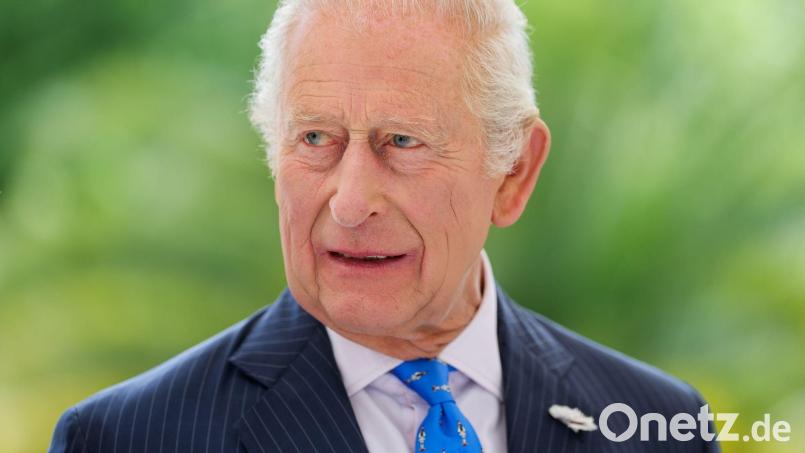 Eine Doku widmet sich dem Engagement von König Charles. (Archivbild) Bild: Chris Jackson/PA Wire/dpa