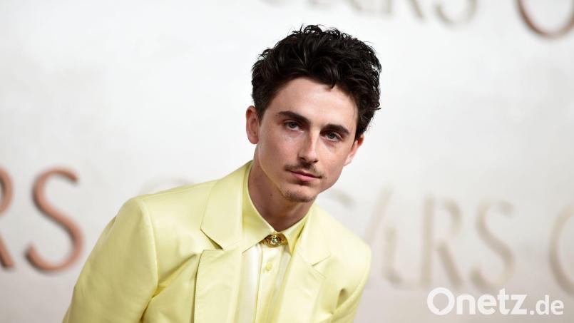 Timothée Chalamet hat ein wildes Promo-Video für seinen Film veröffentlicht. Archivbild: Richard Shotwell/Invision/dpa