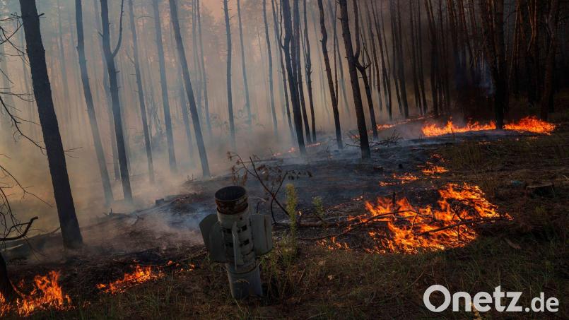 Waldbrände in der Ukraine, die viel Treibhausgase freisetzen, werden oft durch Gefechte ausgelöst. (Archivbild) Bild: Evgeniy Maloletka/AP/dpa