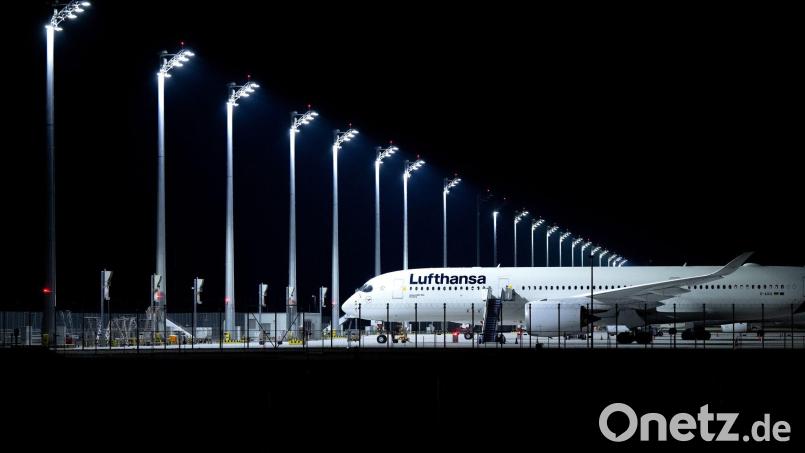 Zahlreiche Lufthansa-Jets könnten wegen eines Piloten-Streiks am Boden bleiben. Bild: Sven Hoppe/dpa/dpa-tmn