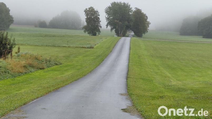Dieser neue Radweg bei Poppenreuth darf künftig nur noch von Radfahrern, Anliegern und für die Landwirtschaft genutzt werden. Entsprechende Schilder werden noch aufgestellt. Bild: kro