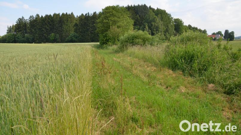 Hier wird der Gewässerschutzstreifen eingehalten. Archivbild: dob