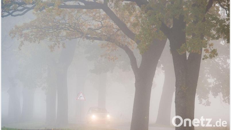 In den allermeisten Ecken Deutschlands bleibt es auch in den kommenden Tagen weitgehend trüb, etwas Hoffnung auf Sonne gibt es für den Südwesten. Bild: Patrick Pleul/dpa/dpa-tmn