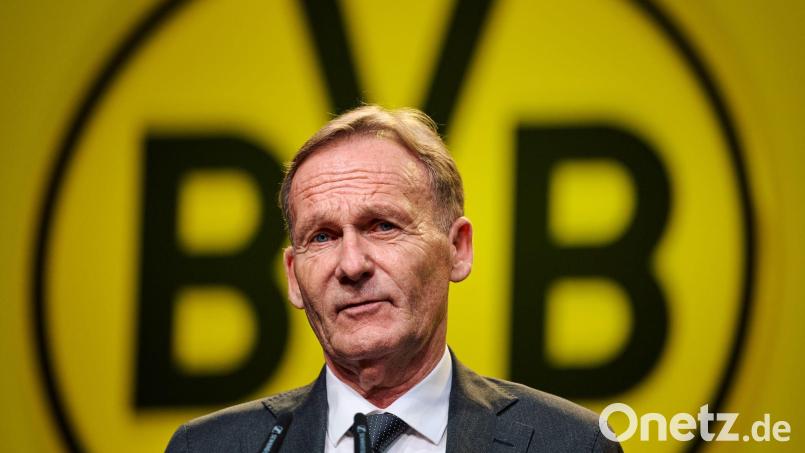 Hans-Joachim Watzkes Abschied aus der BVB-Geschäftsführung steht kurz bevor Bild: Bernd Thissen/dpa