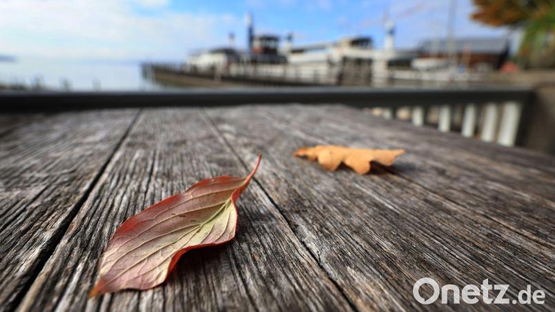 Milde Temperaturen erwartet der Deutsche Wetterdienst in den nächsten Tagen. (Archivbild) Bild: Karl-Josef Hildenbrand/dpa