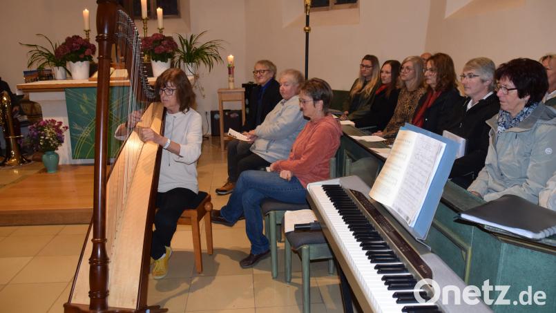 Wundervolle Töne entlockte Heidi Wohlfahrt ihrer Harfe in der Edelsfelder Kirche, um Geld für die Renovierung des Kirchturms zu sammeln. Bild: hdk