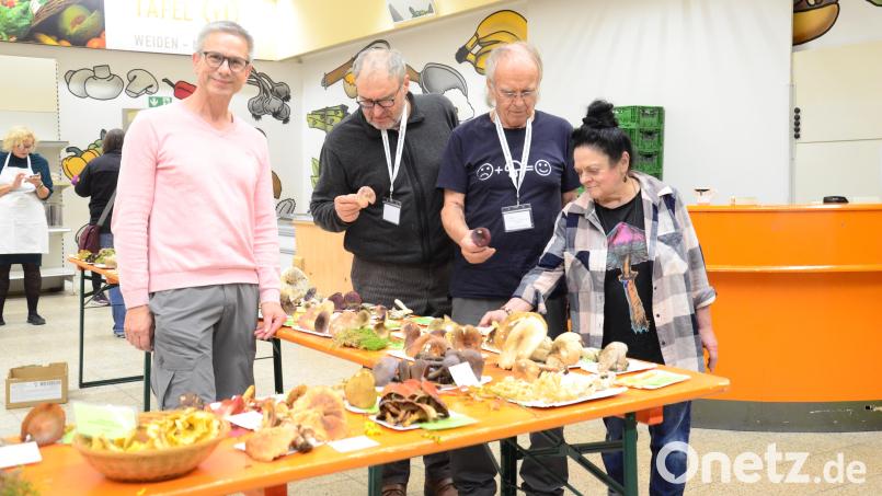 Norbert Griesbacher (Zweiter von rechts) mit seinen drei Fachkollegen Martina Franke aus Schwarzenbach, Hubert Seidl aus Weiden und Stefan Hartwig aus Vohenstrauß. Bild: Kunz