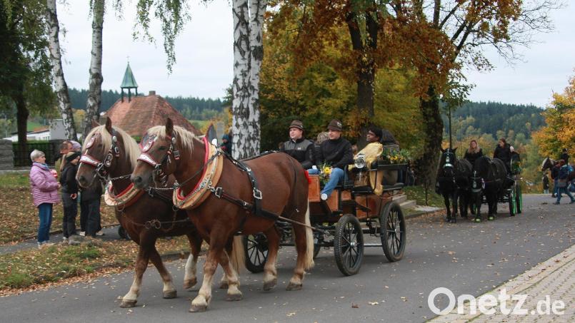 Blickfang beim Wendelinsritt war die von Seppl und Sam gezogene Kutsche vom Stich&#039;n-Hof der Familie Brunner in Plößberg bei Immenreuth. Die 9- und 10-jährigen Süddeutschen Kaltblütler waren zum 4. Mal dabei. Bild: wro