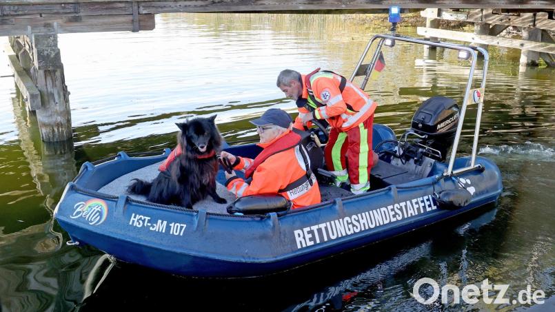 Leichensuchhunde haben laut Polizei auf dem Inselsee am Stadtrand von Güstrow angeschlagen. Nun sollen Taucher klären, ob der seit Freitag verschwundene Achtjährige möglicherweise am Grund des Sees liegt. Bild: Bernd Wüstneck/dpa