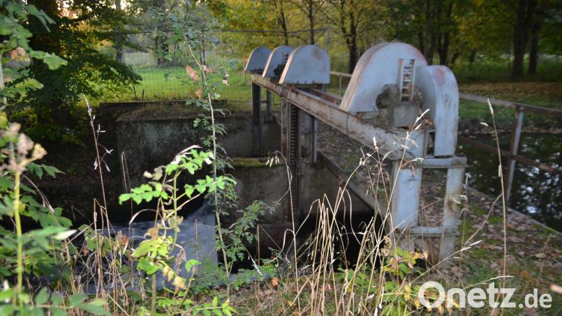 Diese Wehranlage bei Mühlhof macht Probleme. Zumindest wer für sie zuständig ist, hat sich geklärt. Bild: ak